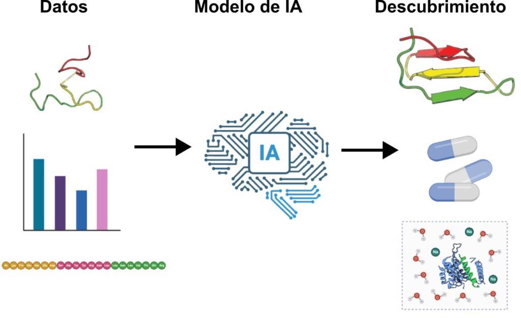 El uso de la inteligencia artificial en la biofísica computacional