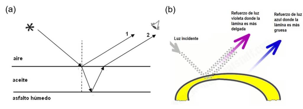 Cristales fotónicos naturales
