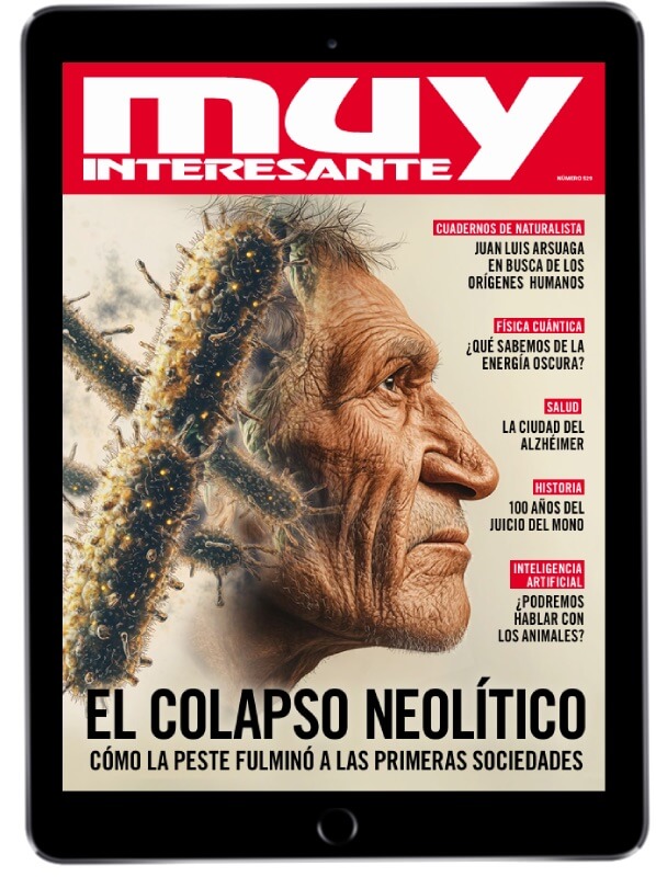 Muy Interesante - Junio 2025 - Número 529