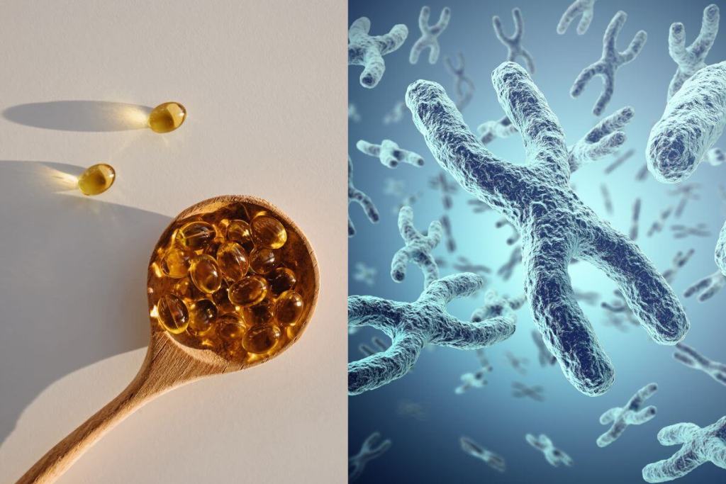 Tomar esta vitamina diariamente podría ayudarte a frenar el envejecimiento celular, según un nuevo estudio 1