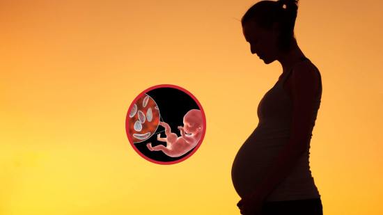 Toxoplasmosis congénita, cómo protegerte durante el embarazo