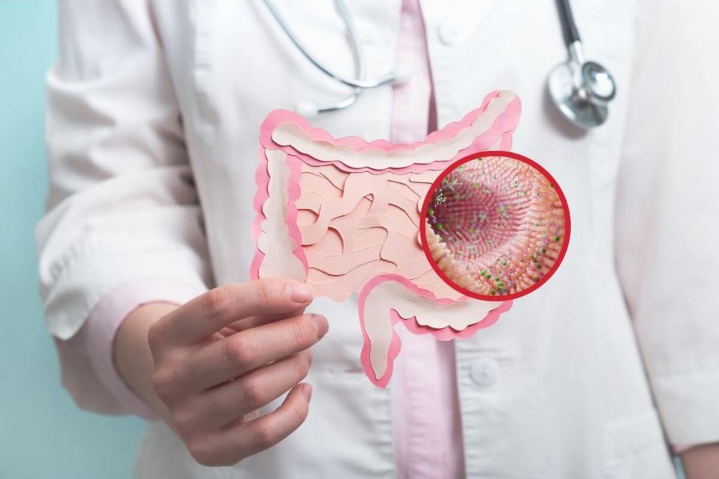 Un arca de Noé en tu cuerpo, la misión global para conservar el microbioma humano