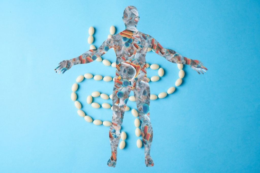 Un arca de Noé en tu cuerpo, la misión global para conservar el microbioma humano