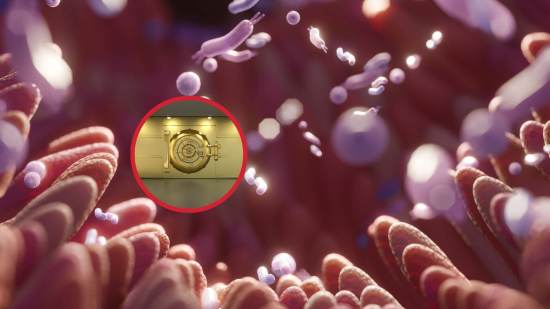 Un arca de Noé en tu cuerpo, la misión global para conservar el microbioma humano