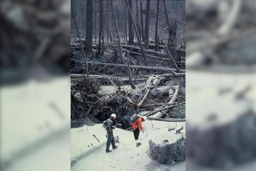 Los científicos Jim Sedell y Fred Swanson exploran por primera vez la zona cero del Monte Santa Helena tras la erupción de 1980, en busca de señales de vida entre la devastación