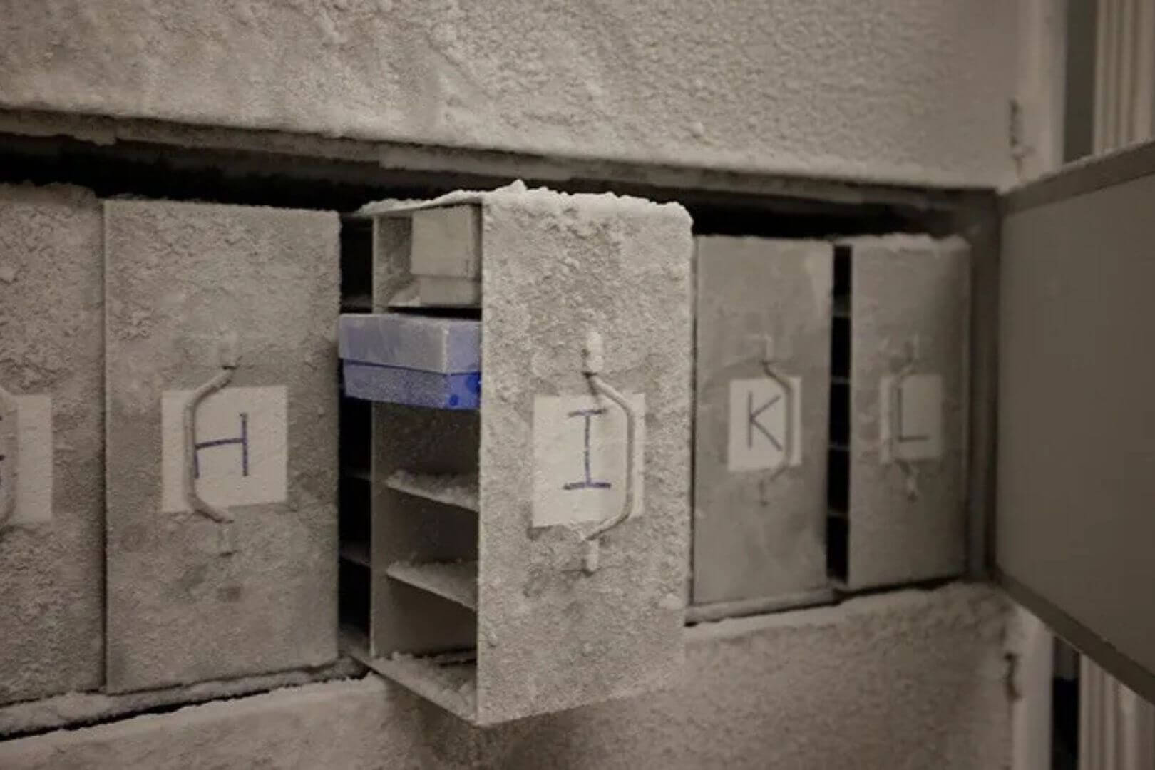 Buscan 10.000 muestras humanas para congelarlas en una bóveda secreta