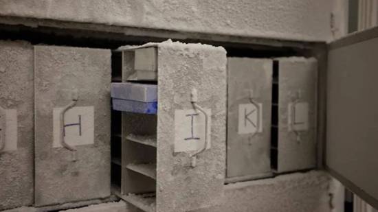 Buscan 10.000 muestras humanas para congelarlas en una bóveda secreta