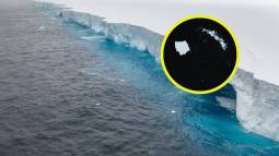 El mayor iceberg del mundo empieza a romperse frente a una joya ecológica del Atlántico Sur