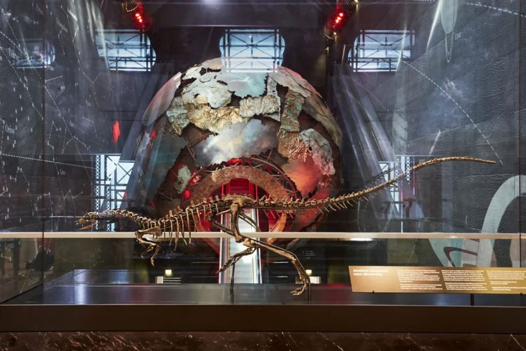 Una reconstrucción completa del dinosaurio jurásico Enigmacursor mollyborthwickae ya puede verse en exhibición en el Museo de Historia Natural de Londres