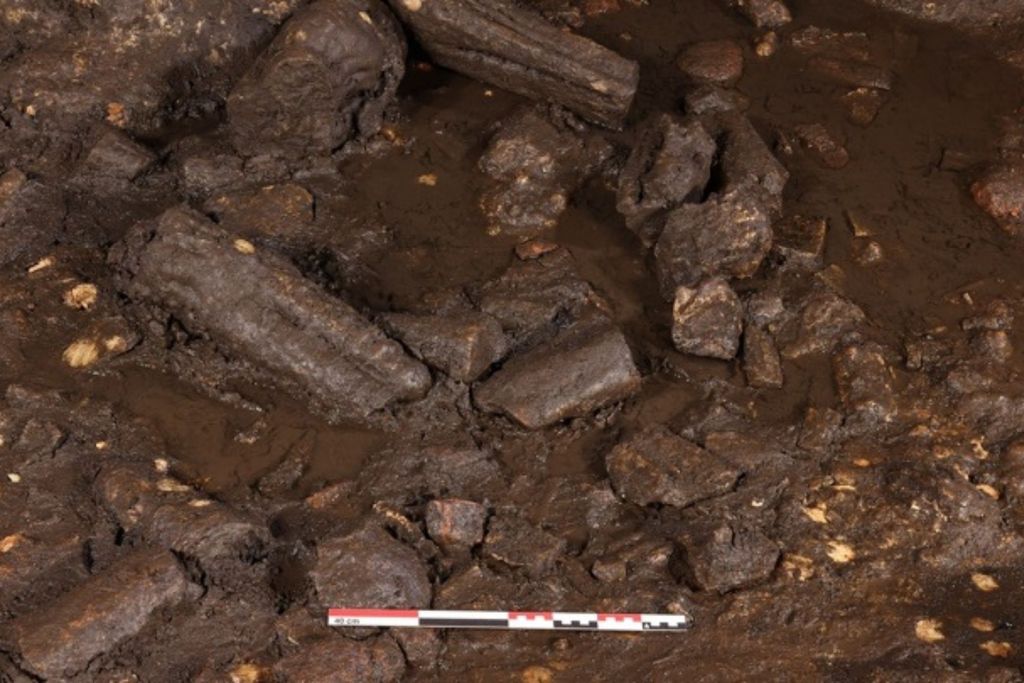 Conjunto circular formado por estalagmitas reorganizadas deliberadamente en la cueva de Cova Dones