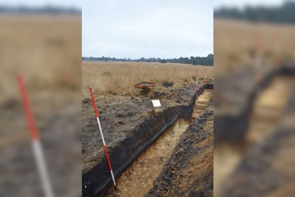 Vista de una de las zanjas excavadas durante los trabajos arqueológicos en Hoog Buurlo