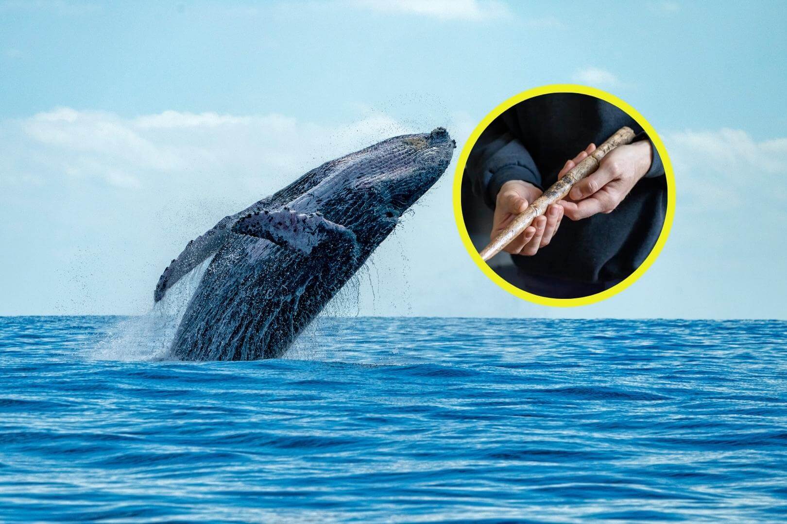 Descubren las herramientas más antiguas hechas con huesos de ballena