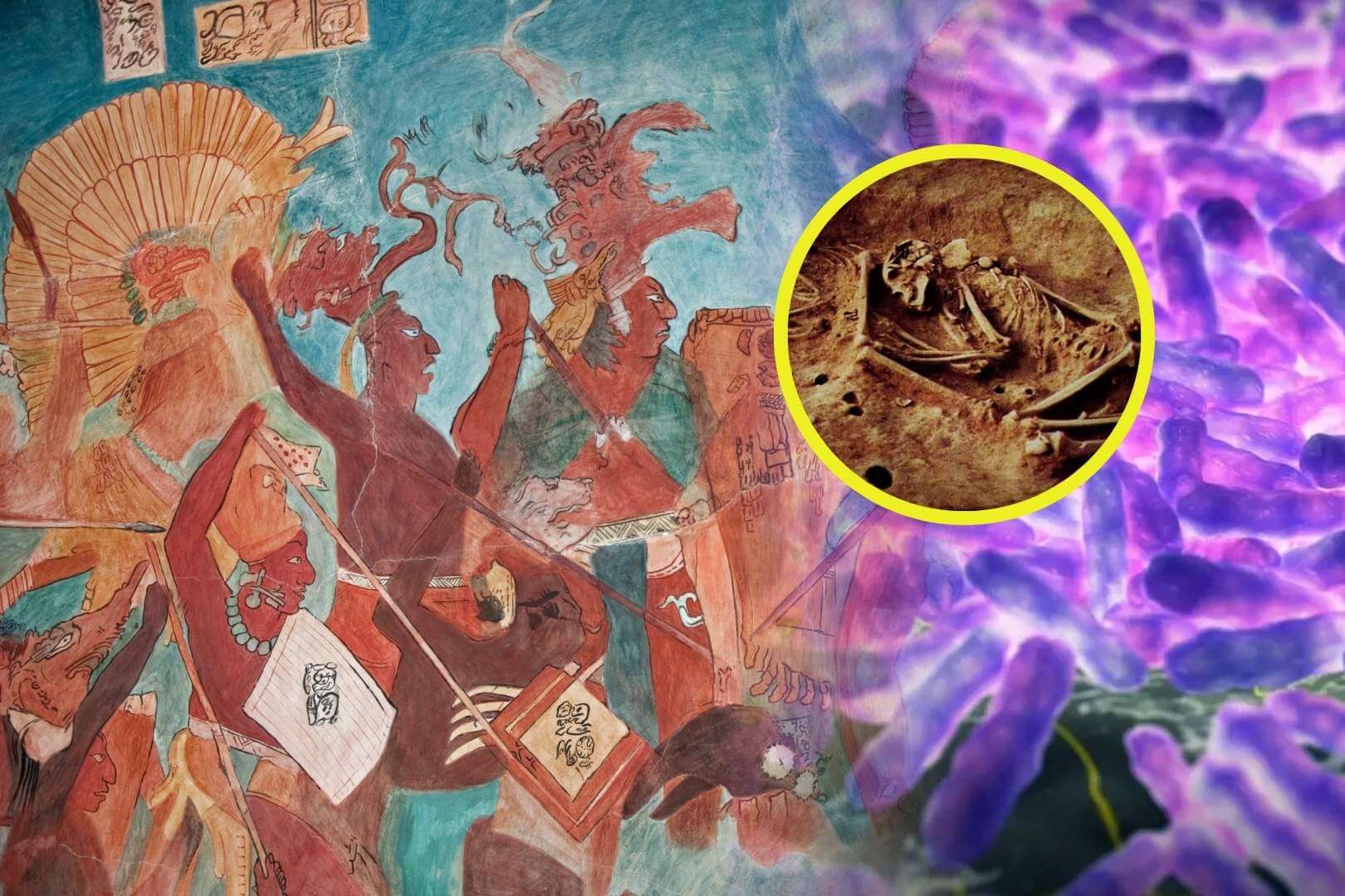 La lepra ya era endémica en América siglos antes de la llegada europea y nunca desapareció