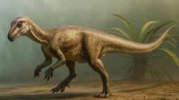 Reescriben la historia de los dinosaurios con un hallazgo diminuto pero revolucionario en Colorado