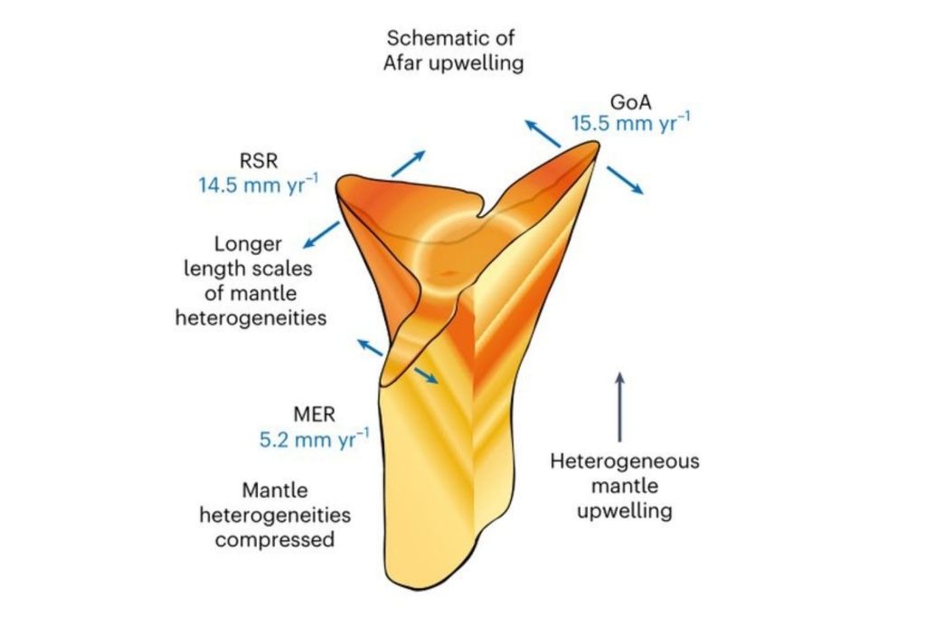 Un esquema muestra cómo el penacho de magma asciende desde el manto profundo y se canaliza a través de las tres grandes grietas tectónicas que se abren en la región de Afar