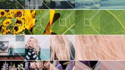 La IA que permite ampliar imágenes con calidad extrema sin necesidad de reentrenar modelos