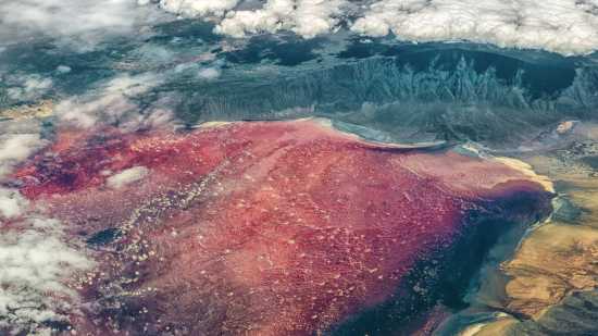 Natron, el lago rojo y corrosivo de Tanzania que convierte a los animales en esculturas de sal