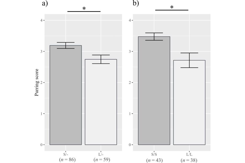 Comparación de los niveles de ronroneo según el genotipo AR