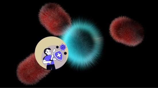 ¡Es la guerra! Cuando la biología se vuelve táctica militar y el sistema inmunitario tiene un ejército para defenderte-