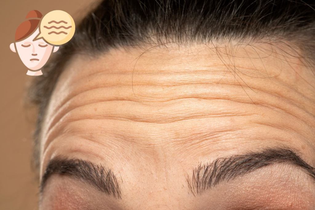 ¿Por qué se arruga la piel al envejecer? Un nuevo estudio revela un inesperado culpable 2