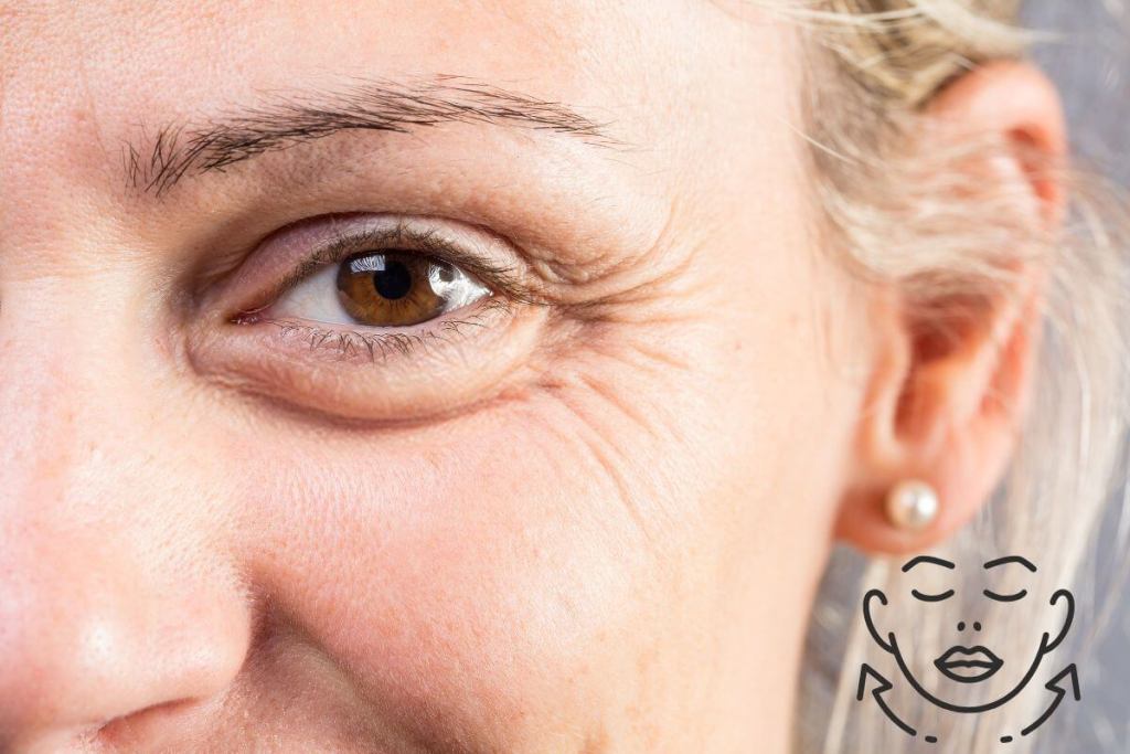 ¿Por qué se arruga la piel al envejecer? Un nuevo estudio revela un inesperado culpable 3