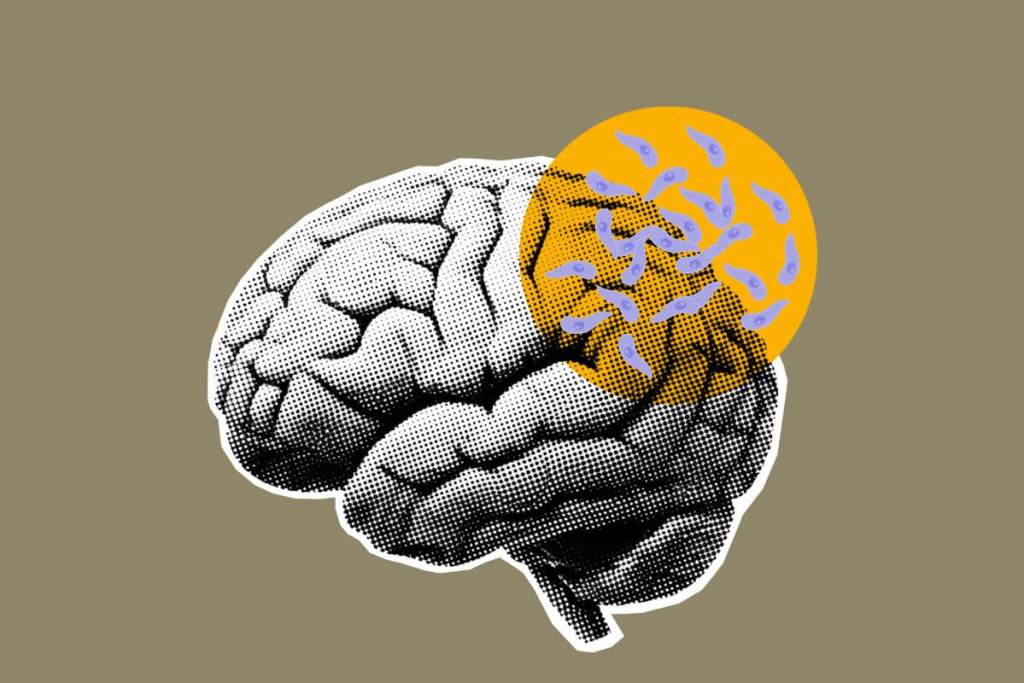¿Y si no fueras del todo tú? Este parásito común podría estar influyendo en tu personalidad sin que lo sepas, según la ciencia 3