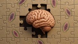 ¿Y si no fueras del todo tú? Este parásito común podría estar influyendo en tu personalidad sin que lo sepas, según la ciencia