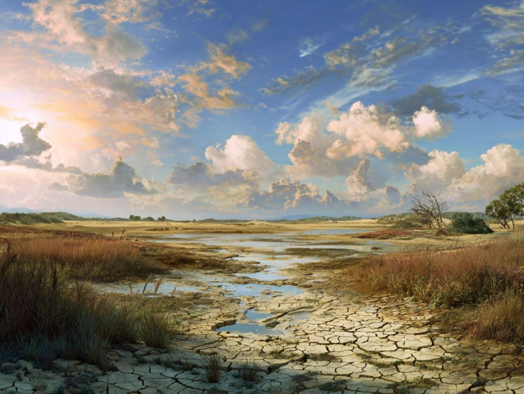 Paisaje afectado por la sequía