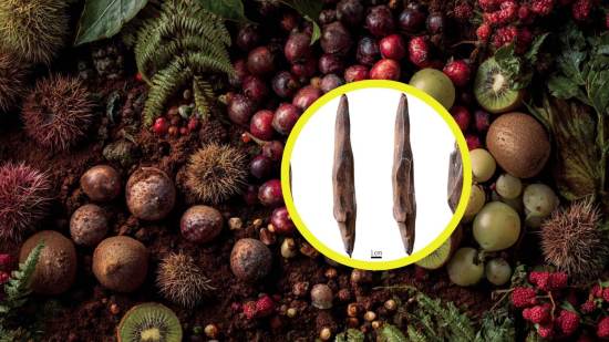 La vida de los recolectores del pleistoceno