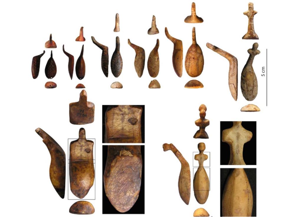 Pájaros de de Naujan Thule