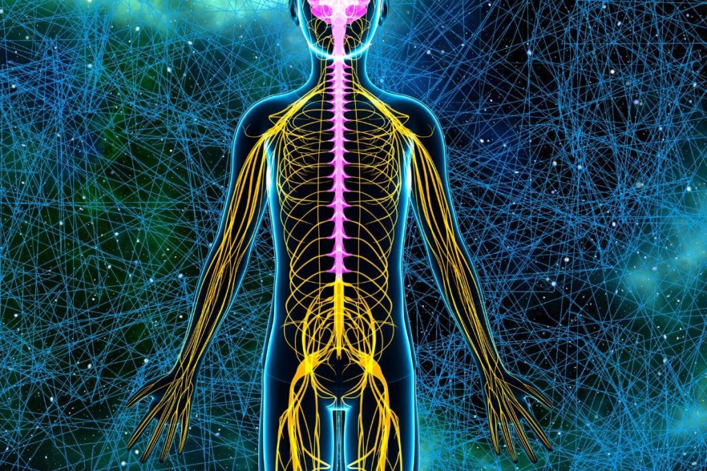 Científicos descubren por qué algunas lesiones físicas dejan un dolor persistente incluso tras sanar