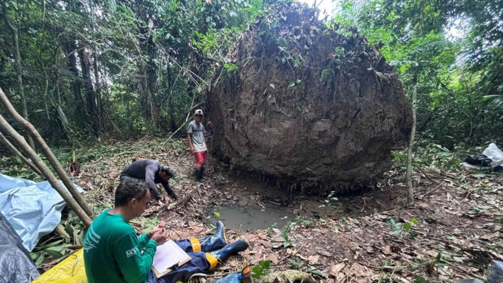Urnas funerarias de Solimões