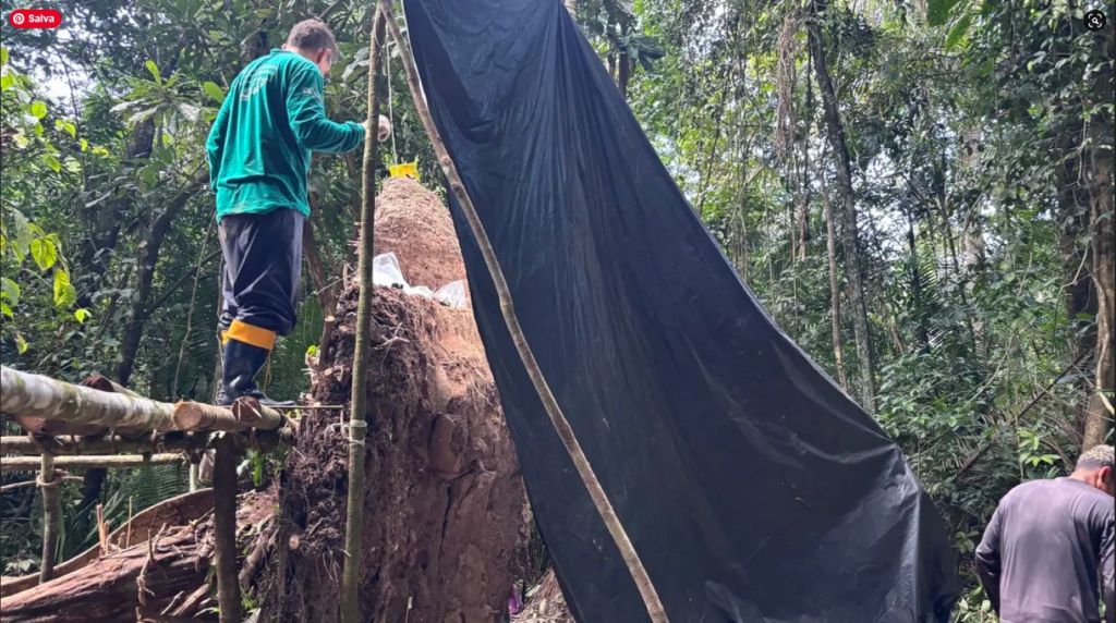 Urnas funerarias de Solimões