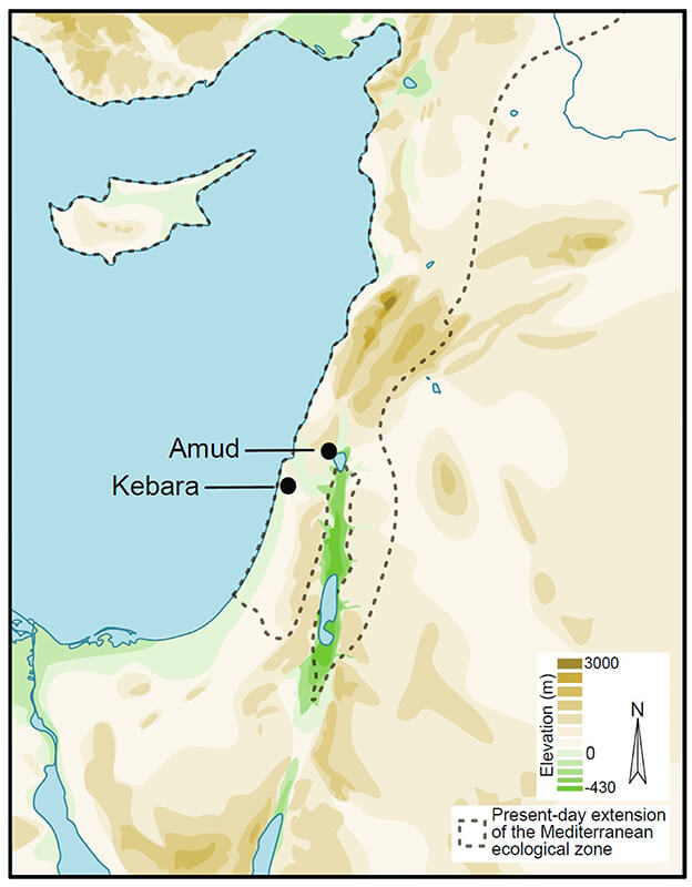 Mapa del Levante oriental que muestra la ubicación de las cuevas de Amud y Kebara, enclavadas en la actual zona ecológica mediterránea. Este entorno, rico en recursos faunísticos, fue clave en la ocupación neandertal durante el Paleolítico medio.