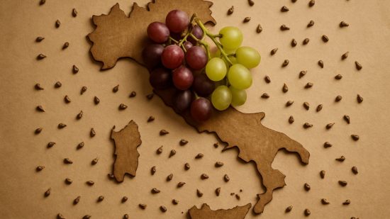 Estas semillas de uva revelan cómo nació el vino en Italia hace más de 7000 años -