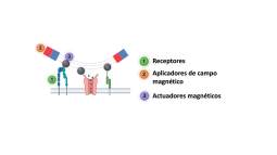 Magnetogenetica. Concepto de magnetogenética
