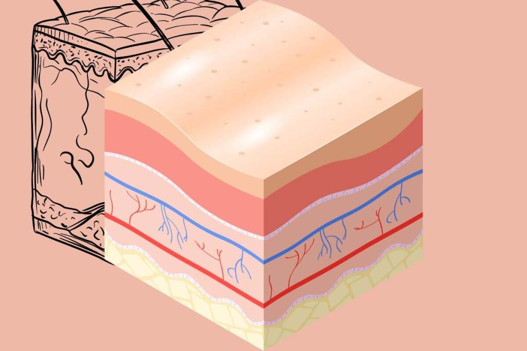 Un mito de playa que resultó ser cierto, la ciencia revela por qué tu piel se siente tirante después de nadar 1