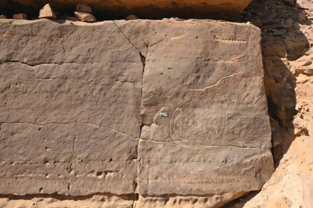 El panel de arte rupestre muestra una embarcación cuidadosamente grabada en la roca, sobre la que destaca la figura de un individuo sentado bajo una estructura similar a un palanquín