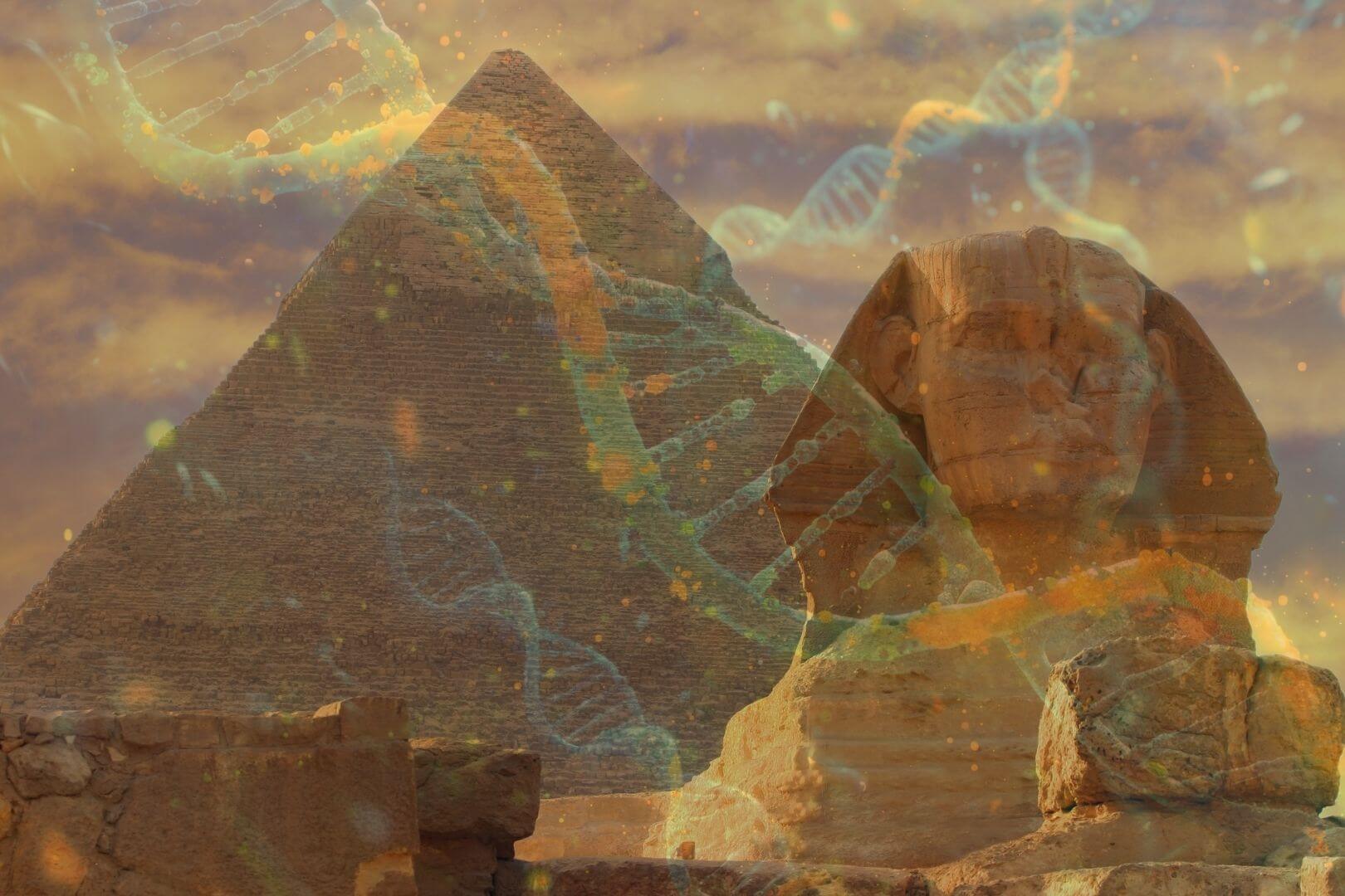 Descubren ADN de un egipcio de hace 4.600 años con raíces mesopotámicas