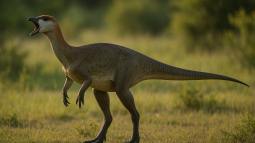 Pulaosaurus qinglong