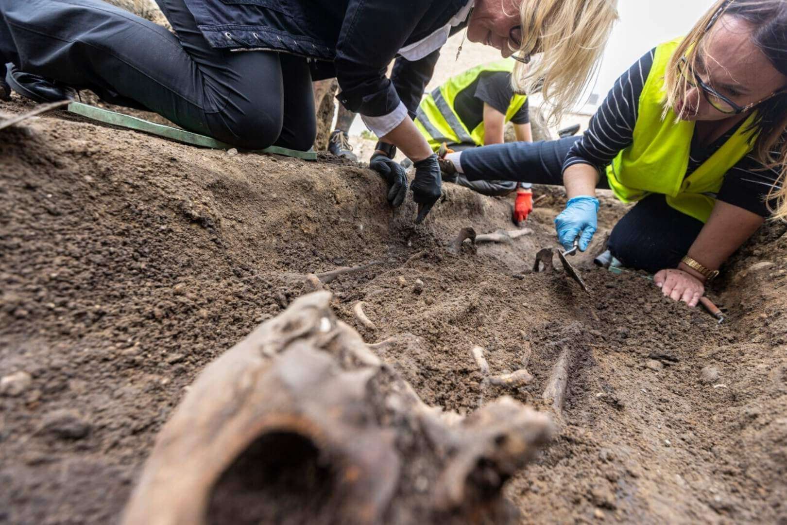Hallan en Gdansk el esqueleto completo de un caballero medieval bajo una lápida de lujo