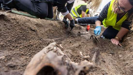 Hallan en Gdansk el esqueleto completo de un caballero medieval bajo una lápida de lujo