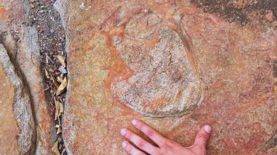 Huellas de dinosaurio junto a arte rupestre