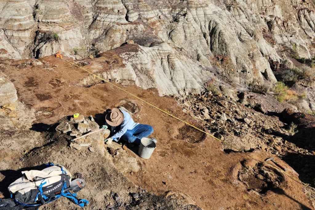 Un técnico del Museo Royal Tyrrell documenta las huellas en el yacimiento Skyline