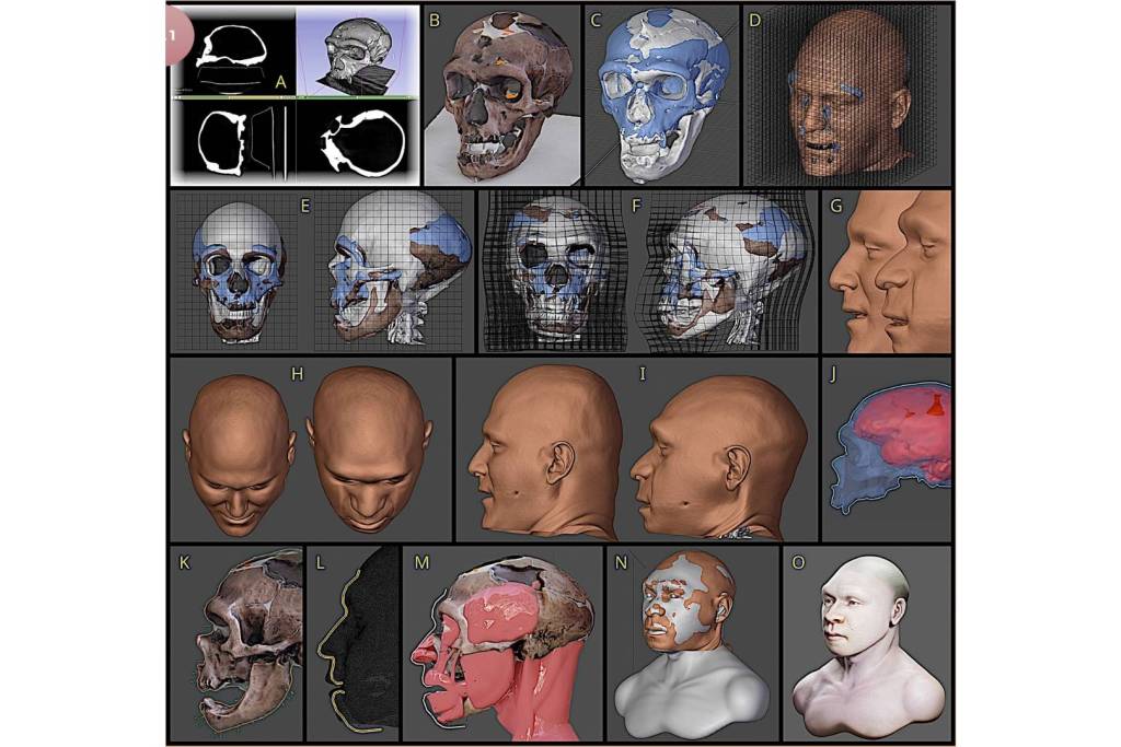 Proceso digital de reconstrucción facial a partir del cráneo fósil