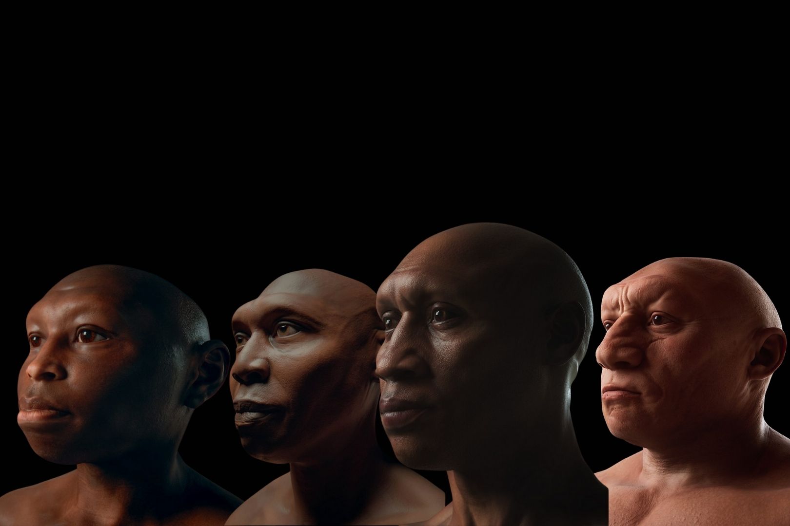 Rostros de Homo floresiensis, Homo erectus, Homo neanderthalensis y Homo Sapiens