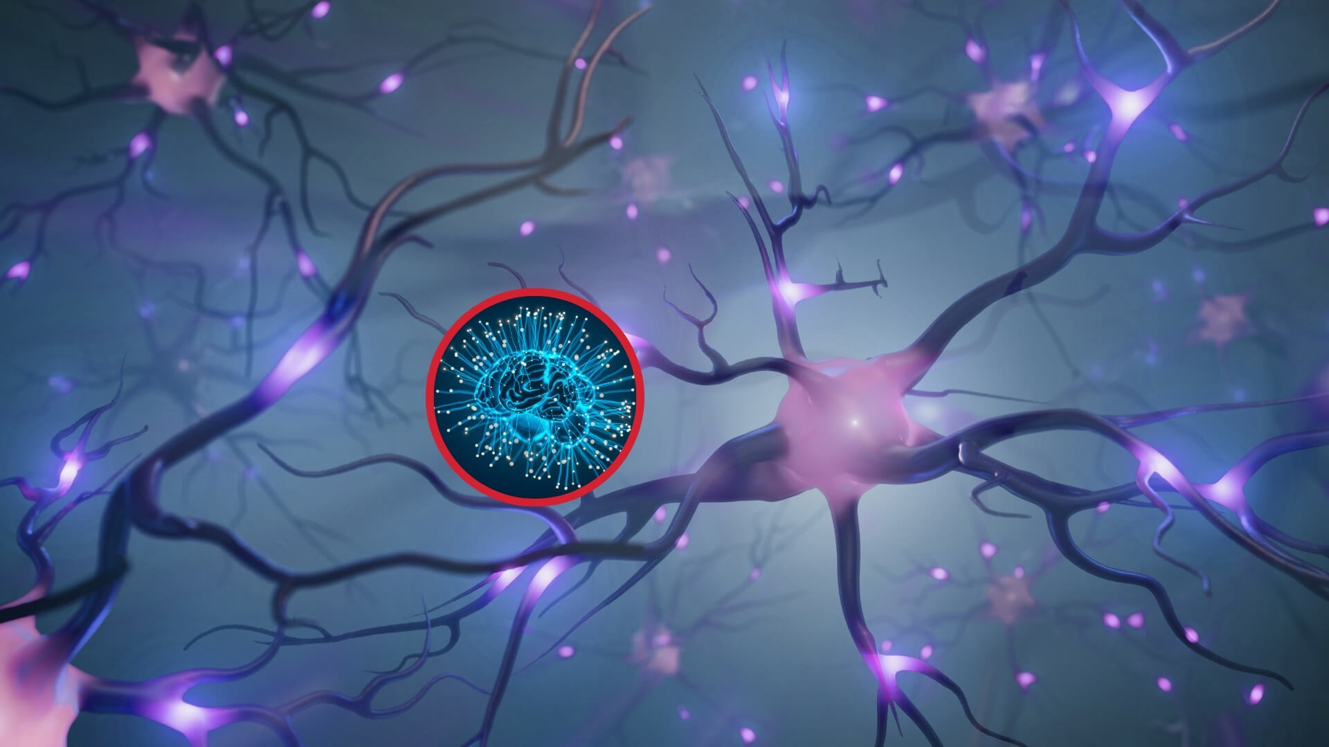 ¿Las neuronas no se regeneran? Mitos sobre salud que la ciencia ya ha desmentido