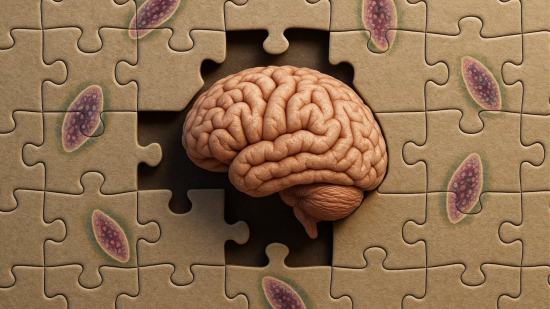 ¿Y si no fueras del todo tú? Este parásito común podría estar influyendo en tu personalidad sin que lo sepas, según la ciencia