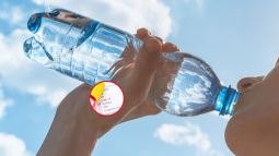 ¿Beber poca agua te hace más vulnerable al estrés? La ciencia tiene la respuesta