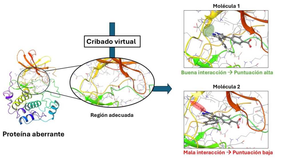 ¿Cómo puede ayudarnos la quimioinformática en el descubrimiento de nuevos fármacos? 2